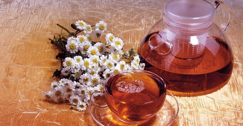 Chamomile tea for the treatment of prostatitis